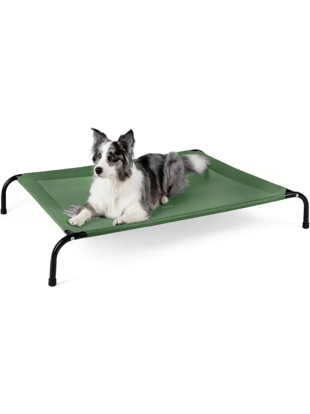 Elevated Cooling Dog Bed 50